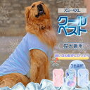 【在庫処分セール】犬服 秋冬用 キルティング ベスト | ペット 犬 ワンちゃん 防寒 お出かけ お散歩 おしゃれ 可愛い 愛犬 小型犬 中型犬 大型犬 あったか ブルゾン ダウン 反射テープ おしゃれ COTEN