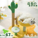 キャットタワー 据え置き型 猫用爪とぎポール お洒落 爪とぎタワー サボテン型 ネコポール 麻縄 手巻き 可愛い つめとぎ 組立簡単 おもちゃ 麻紐 爪とぎ付き...