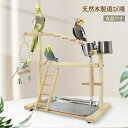 【予約販売】インコ 遊び場 三層 バード アスレチック 玩具 スタンド 止まり木 はしご 食器 水器 鳥 巣 カゴ 遊園地 秋千 ラダー ベル 鳥の巣 鳥栖 オウムブランコ 鳥グッズ セキセイインコ 文鳥 アスレチック 玩具 スタンド 止まり木 原木