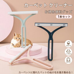 【店長のオススメ商品！】【小さくて万能！！】予約販売 カーペット ペットの抜け毛 2点セット クリーナー 送料無料 ペット用品 ペットの毛 ペット用品 毛玉 毛玉取り 抜け毛 取り 抜け毛取り 犬 猫 掃除 ラクラク 再利用 便利グッズ