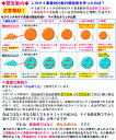 sssilex:10000016のサンプル画像2