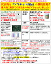 sssilex:10000023のサンプル画像3