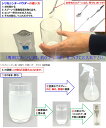 sssilex:10000003のサンプル画像3