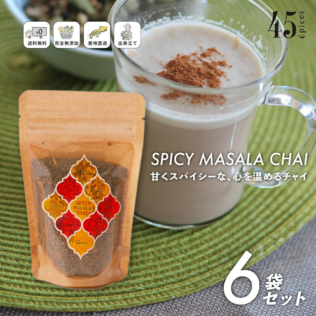 45épices / SPICY MASALA CHAI Large｜6袋セット［SPICY MASALA CHAI×6袋］ チャイ スパイスチャイミックス 完全無添加 生姜 唐辛子 料理家 有元くるみ ギフト セット 中東風 万能調味料 自然派 保存料不使用