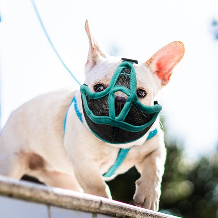 SSWSTOREの犬 口輪 短い鼻の犬 メッシュ口輪 マズル 拾い食い止め 無駄吠え 噛みつき 犬の口輪 マスク フレンチ?ブルドッグ 犬用マズル 通気性 鼻｜アングル3