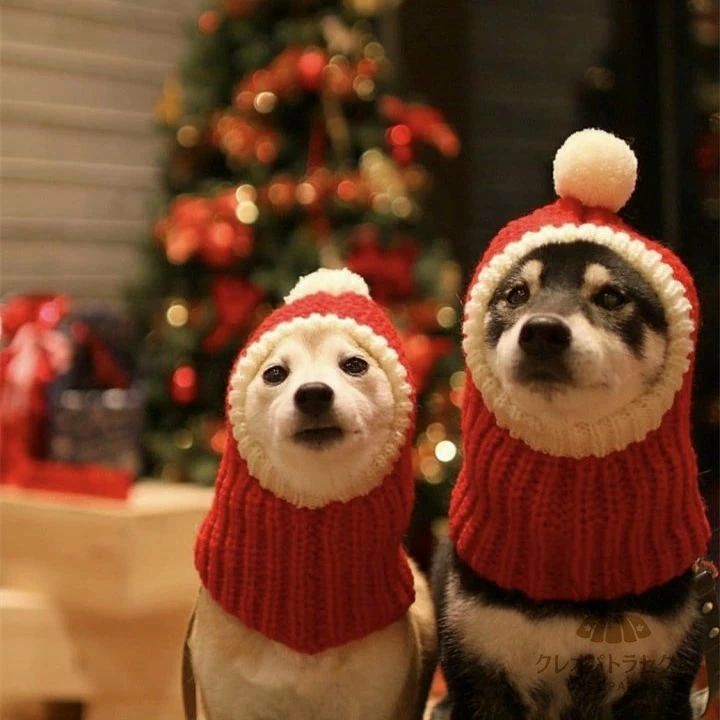 クリスマスウェア レッド ペット帽子 お祝い ハット 猫用 クリスマス 猫被り物 赤 マフラー 犬用 寒さ対策 ニット 帽子 可愛い サンタ帽
