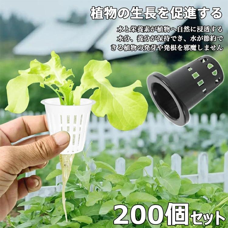 【200個セット】 水耕栽培ポット 25号 20号 30号 高35 黒 半透明 水耕栽培鉢 水耕栽培バスケット 定植かご ガーデンニング 庭 園芸 植物