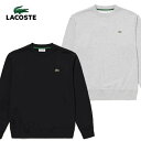 RXe XEFbg Y fB[X LACOSTE v~A XEFbg g[i[ i  h  ۉ 傫TCY uh  O[ M L XL XXL SH6913