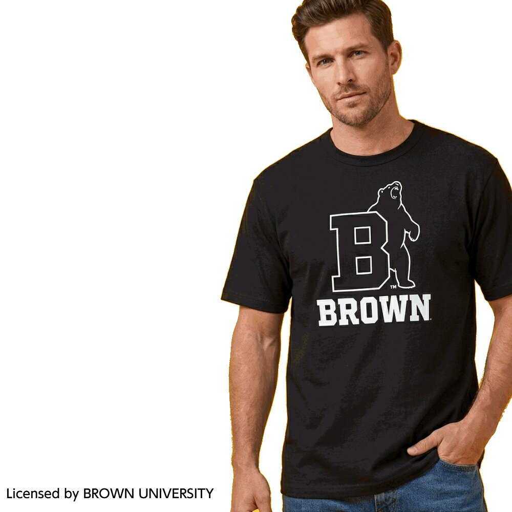 Champion MADE IN USA BROWN UNIVERSITY T-shirt チャンピオン アメリカ製 ブラウ...
