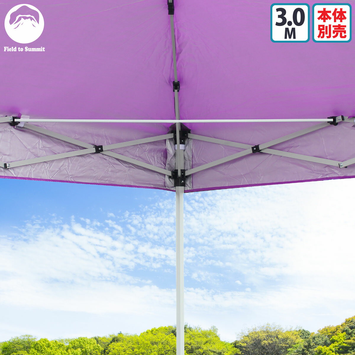 Field to Summit テント補強フレームセット 3M用 2本セット ワンタッチ テント タープ 強化 強い 丈夫 長持ち
