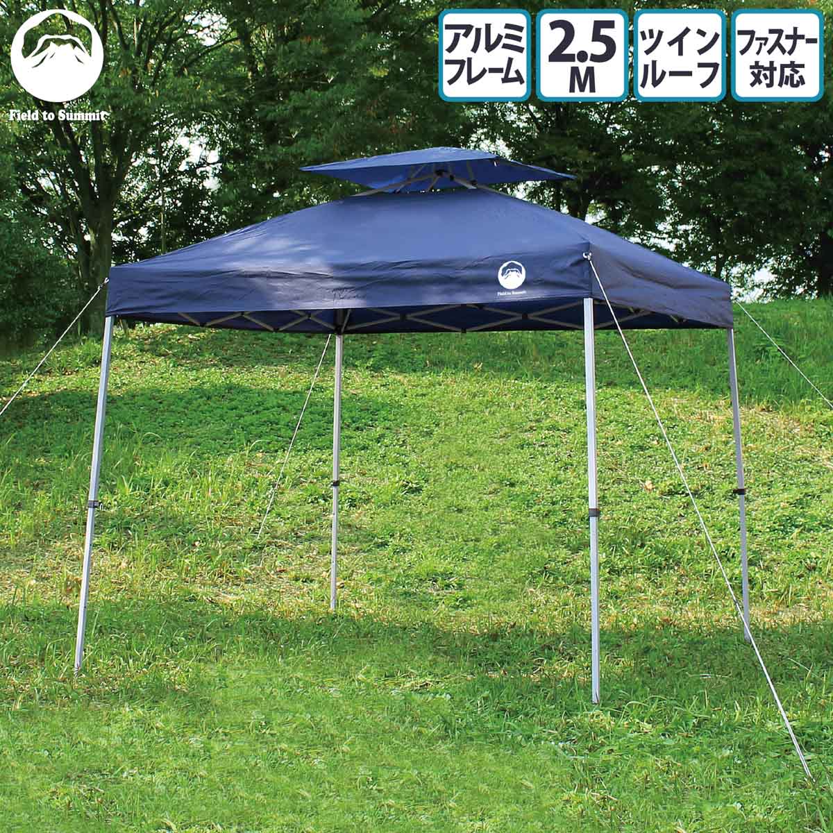 テント 大型 Field to Summit アルミワンタッチテント250 2.5M x 2.5Mサイズ ツインルーフ アルミ製軽量 キャリーバッグ 簡単 タープ 自立式 日除け ガーデン キャンプ タープテント 簡易テント 250cm通販格安セール情報 楽天 通販