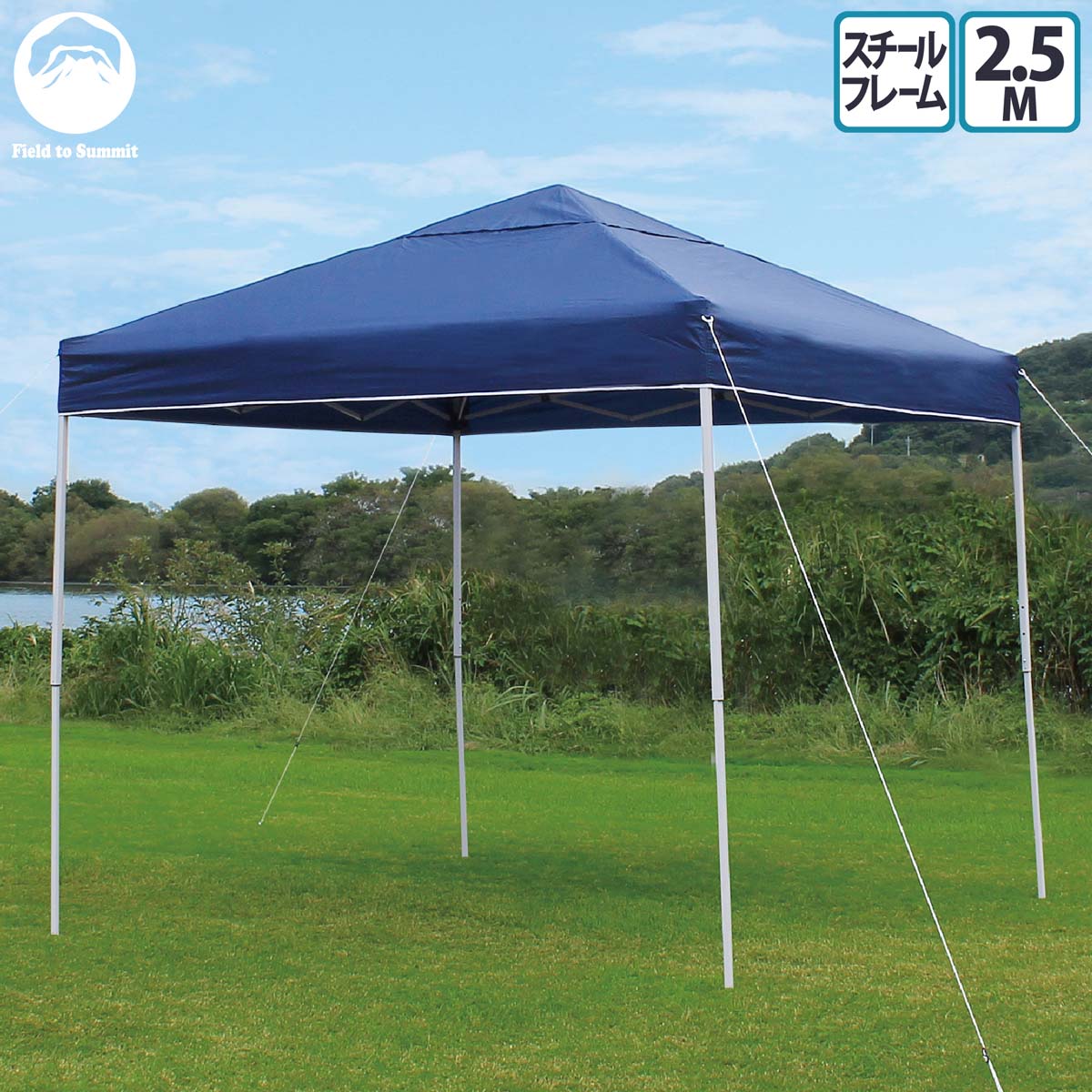 テント 大型 Field to Summit ワンタッチテントST250 2.5m幅 収納バッグ付き 入門 スチール 簡単 タープ 自立式 日除け ガーデン キャンプ お花見 タープ テント 簡易テント 250cm通販格安セール情報 楽天 通販