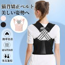 \期間限定! 10%OFFクーポン&P5倍/★即納★ 猫背矯正ベルト ...(4)