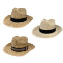 Cholo Hat チョロハット メキシカン ヤシの葉 メヒコ ハット 帽子 麦わら帽子 麦わら ヤシ メキシコ Mexican Mexico メキシコ製 メン...