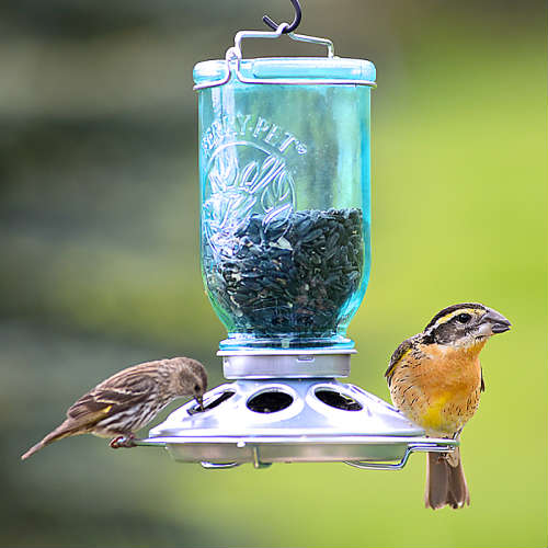 Mason Jar Seed Capacity 32oz Blue メイソンジャーのバードフィーダーです。 鳥達が冬の間、より簡単に食べ物を見つけるのを助けます。 木の枝などにつるしてお使い下さい。 雨水排水穴、フィーダープラットフォームは...