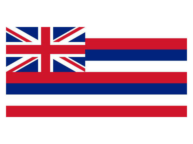 HAWAI FLAG 3f×5f 152cm ハワイ フラッグ 旗 ハワイ州旗 ハワイアン アメリカ はた