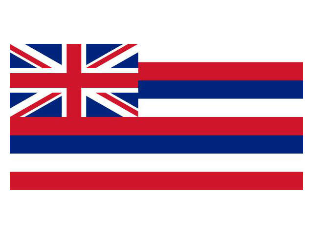 HAWAI FLAG 3f5f 152cm ϥ磻 եå  ϥ磻 ϥ磻 ꥫ Ϥ