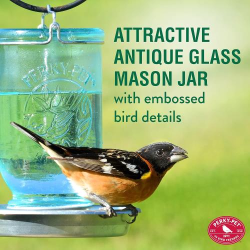 Mason Jar Wild Bird Waterer 783 Blue �ᥤ���󥸥㡼 �磻��� �С��� ���������� �֥롼 �� �����ǥ˥� Ļ �������� ���� ����� ���� �ϥ󥮥�