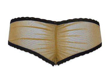 **nippies intimates star cheekyニップレス・ニッピーズ・ショーツセット☆ドレス・結婚式・パーティー・チューブトップ・オフショルダー・セレブ・下着・ブラジャー・ブラ・背中見せ・dress・アメリカ・ダンサー・ショーガール・水着