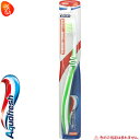 ANAtbV nuV 炩 1{ A[X Aquafresh I[PA f^PA uV nuV  ݂