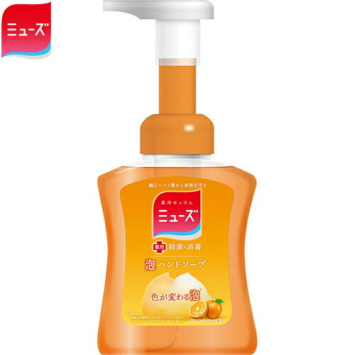 薬用ミューズ 泡ハンドソープ フルーティフレッシュの香り 本体 250mL ＊医薬部外品 レキットベンキーザー ミューズ 石鹸 ハンドソープ ハンドウォッシュ