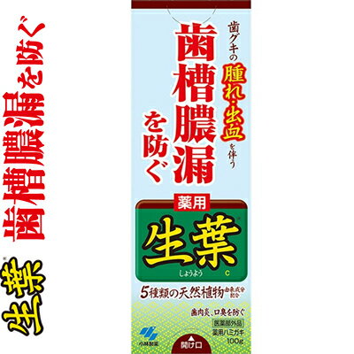 薬用生葉 100g ＊医薬部外品 小林製薬 生葉 オーラルケア デンタルケア 虫歯予防 歯みがき 歯磨き 歯磨き粉