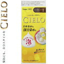 シエロ ムースカラー 1- かなり明るいベーシックなブラウン 50g+50g *医薬部外品 ホーユー/指で押すだけ簡単にムースを出し手間なく髪全体を塗れる/きめ細かくクリーミーなムースが染めにくい白髪にも馴染みやすく見えない後ろまでムラなくきれいに染まります