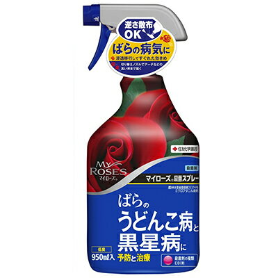 マイローズ 殺菌スプレー 950mL ＊住友化学園芸/病原菌の細胞膜成分の合成阻害/ばらの黒星病・うどんこ病に優れた効果/園芸用殺菌剤/浸透移行作用で病原菌侵入予防/侵入した病原菌を退治する治療効果/散布後の葉の汚れも少ない