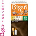 ビゲン 香りのヘアカラー 乳液 4CA カフェブラウン 40g+60mL ＊医薬部外品 ホーユー Bigen ヘアカラー 白髪染め 白髪隠し