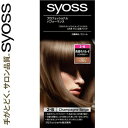 サイオス ヘアカラークリーム 2-B シャンパンベージュ 50g+50g *医薬部外品 シュワルツコフ ヘンケル SYOSS ヘアカラー 白髪染め 白髪隠し