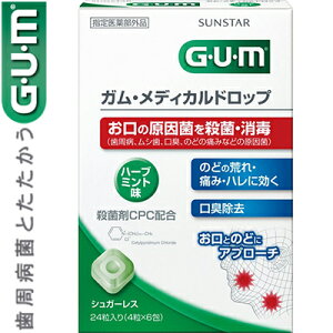 GUM ǥɥå ϡ֥ߥ̣ 24γ  󥹥  륱 ֥쥹  ú å