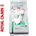 CJi T|[g hC ^S 3kg ROYAL CANIN xei[_CGbg ybgt[h h{oX HÖ@H hbOt[h