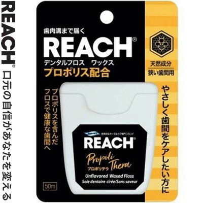 ꡼ ǥ󥿥ե ץݥƥ å 50M ¥ƥեˡ Reach 륱 ǥ󥿥륱 ֥֥饷 ǥ...