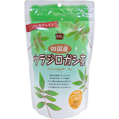 四国産 ウラジロガシ茶 100g *小川生薬/ウラジロガシは別名「排石茶」や「石おろし」と呼ばれるほど、古くから結石症の方に愛飲されてきた健康茶です