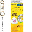 シエロ ムースカラー アッシュブラウン 50g+50g *医薬部外品 ホーユー/指で押すだけ簡単にムースを出し手間なく髪全体を塗れる/きめ細かくクリーミーなムースが染めにくい白髪にも馴染みやすく見えない後ろまでムラなくきれいに染まります