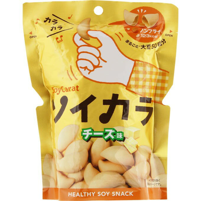 ソイカラ チーズ味 27g ＊大塚製薬 So