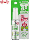 コルゲンコーワ消毒スプレー 50mL *医薬部外品 興和新薬/感染予防、感染防止対策として、手指のウィルス・細菌を消毒/携帯に便利なスプレータイプ/うるおい成分のヒアルロン酸Na、グリセリンも配合/皮膚の洗浄・消毒/除菌 殺菌消毒 ウイルス 感染対策 塩化ベンザルコニウム(4)