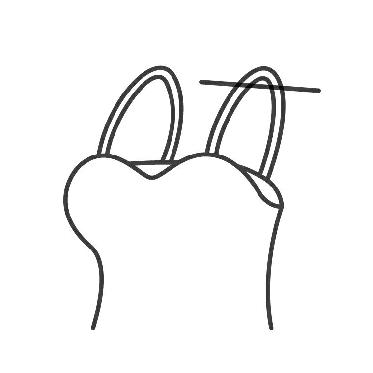 �ڥ��ԡ����Τ�ľ�� ���Ҥ�Ĵ�� �� �����Τ�ľ�� ��ե����� ���ԡ��� ���Ҥ� ���������ۤ�ľ�� ���ͤΤ�ľ�� �ͥåȤ���ʸ ��ǥ��������å� ������ޤǽ��٤˻Ǥ��ޤ� ������������