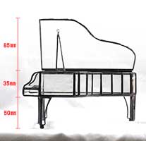 �֥����ɥԥ��Ρ׾�ʪ����