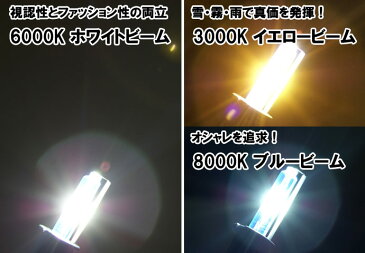 HIDキット PHILIPS バーナー採用 ハイスペック HID コンバージョンキット H1 H3 H4LO固定 H7 H11(H8/H9) HB4(HB3) 8000/6000K/3000K バルブ HOMING-X