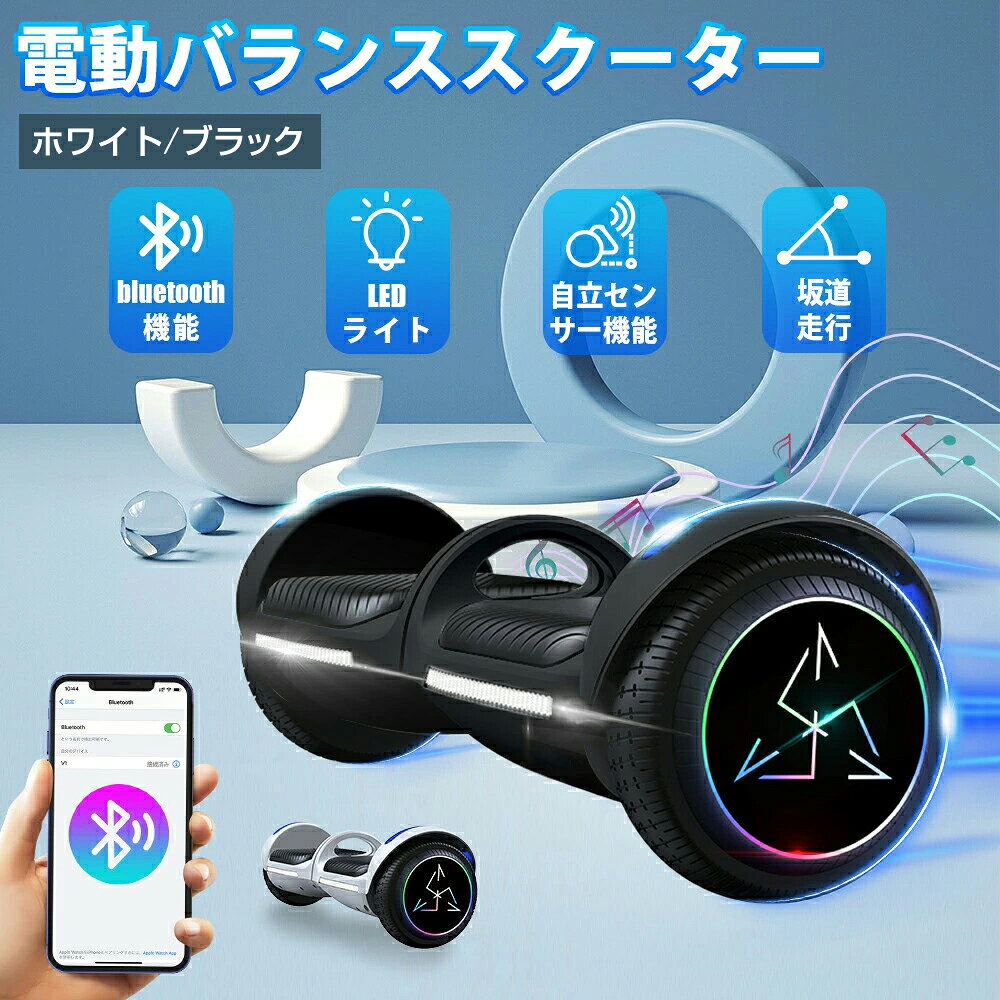 超軽量 バランススクータ― ミニセグウェイ 6.5インチ ライジング 