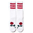 ySoftmachinez\tg}V[ySURFSKATECAMPzT[tXP[gLvySOFTMACHINE ~SURFSKATECAMP AFTER SCHOOL SOX (SOX)zREDiONE SIZE : 25cm ` 27cmjyCz\bNXySOCKSz\tg}VylR|XΉz