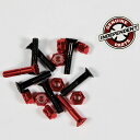 【INDEPENDENT】インディペンデント【Phillips Bolt】Black/Red【プラスボルト】1インチ (1inch)【SKATEBOARD】スケ...