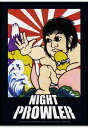 【NIGHT PROWLER DVD】南勝巳【ローカル