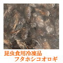 商品説明名称 昆虫食お料理用/冷凍昆虫1/フタホシコオロギ原材料名フタホシコオロギ（タイ産） 内容量100g賞味期限別途商品ラベルに記載保存方法 冷凍流通品としてお送りいたします。−18℃以下で保存してください。解凍後の再冷凍不可。開封後はお早めにお召しあがりください。 製造者はまる食品長崎県佐世保市広田1-27-14本品に含まれるアレルギー物質えび・かに ※昆虫は甲殻類【えび・かに】等に近い生き物のため、アレルギーをお持ちの方は食することをお控えください。注意事項 食される場合は、必ず火を通してお召し上がりください。生食や半煮えは、厳禁です。