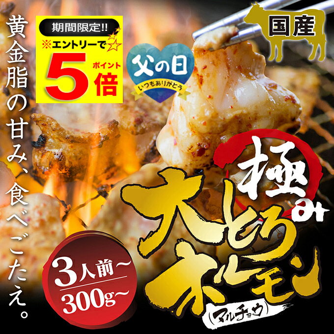 ＼【期間限定】エントリーだけでP5倍／ 国産 牛 極上 大トロ ホルモン ( マルチョウ ) 300g 500g 700g 附属タレ付き ◆選べる「タレ揉み・牛シロ」◆ 丸腸【 月間優良ショップ 6度目受賞】もつ鍋 冷蔵 ギフト お祝い