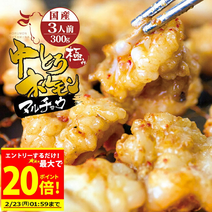 ＼エントリーで必ずもらえるP10倍／＋＼500円OFFクーポン発行中／ 国産 牛 極上 中トロ ホルモン ( マルチョウ ) ( 300g 500g 700g 選べる 内容量 ) 附属タレ付き もつ鍋 冷蔵 中元 お祝い 【月間優良ショップ6度目受賞】