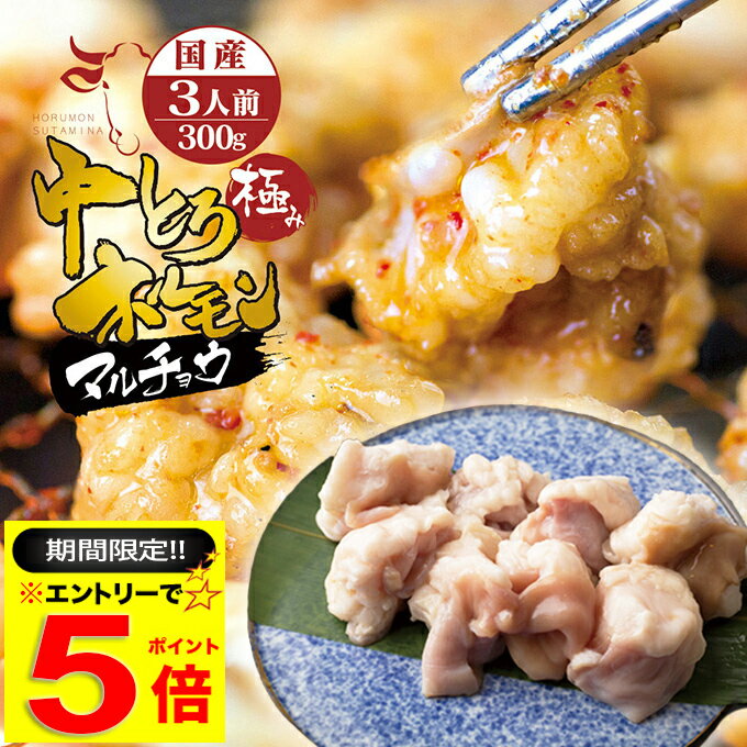 ＼必ずもらえるP5倍～♪要エントリー／ 国産 牛 極上 中トロ ホルモン ( マルチョウ ) ( タレ/シロ 300g 500g 700g 1kg 選べる 味と内容量 ) 附属タレ付き もつ鍋 冷蔵 中元 お祝い 【月間優良ショップ6度目受賞】の商品画像