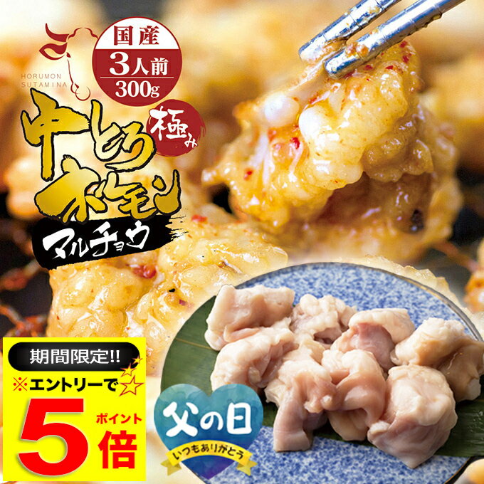 ＼【期間限定】エントリーだけでP5倍／ 国産 牛 極上 中トロ ホルモン ( マルチョウ ) ( タレ/シロ 300g 500g 700g 1kg 選べる 味と内容量 ) 附属タレ付き もつ鍋 冷蔵 中元 お祝い 【月間優良ショップ6度目受賞】
