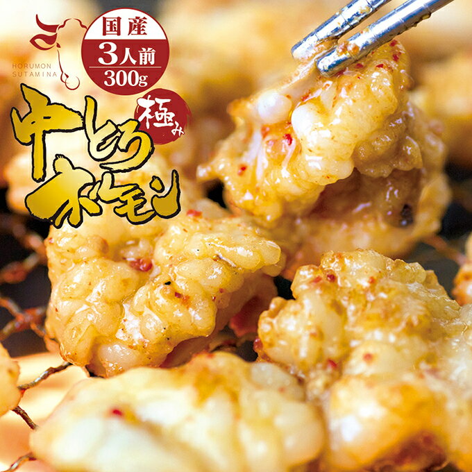 国産 牛 極上中トロホルモン 300g 附属タレ付き 【セット購入で増量おまけ特典】バーベキュー BBQ 焼肉 ホルモン鍋 お試し 御祝い ホルモン揚げ もつ鍋 ホルモン焼き ホルモンミックス ホルモンセット ホルモンうどん バレンタイン ホワイトデ